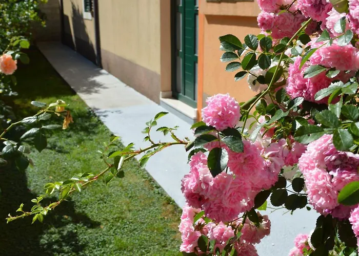 Διαμέρισμα Garden View Μακάρσκα