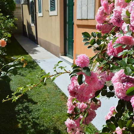 Lägenhet Garden View Makarska